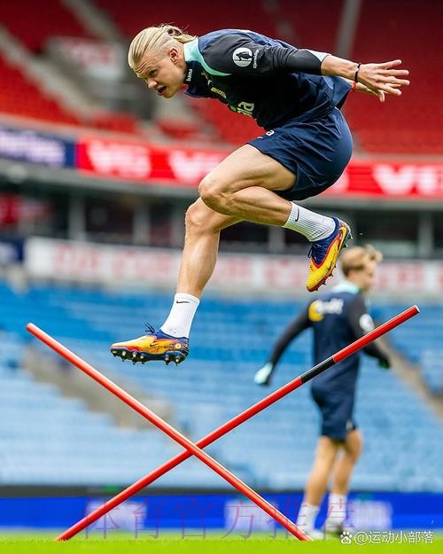 本届世界杯德国哈兰德晋级分析全解析