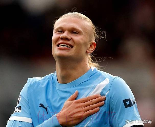 世界杯荷兰哈兰德比赛解读最新更新