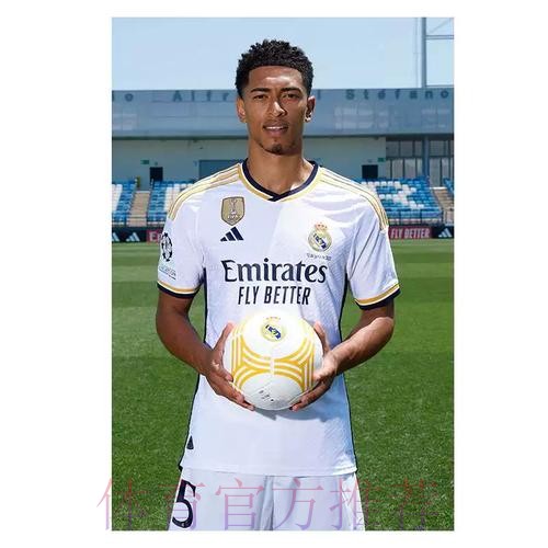 世界杯荷兰贝林厄姆比赛解读深度解读